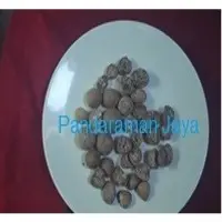 Areca nut or betel nut